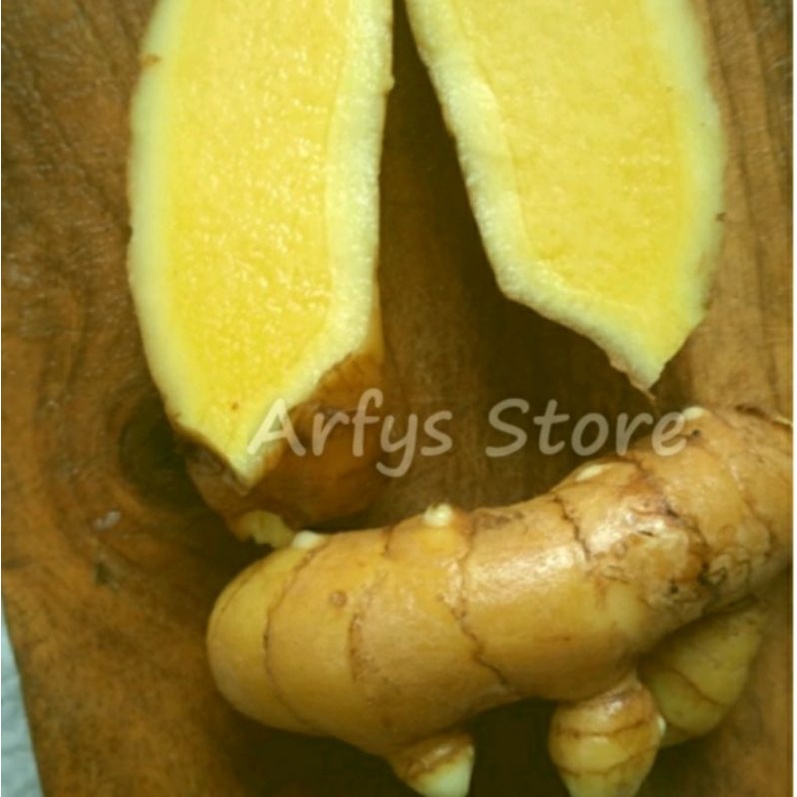

Kunyit Putih / Temu Mangga fres 500 g