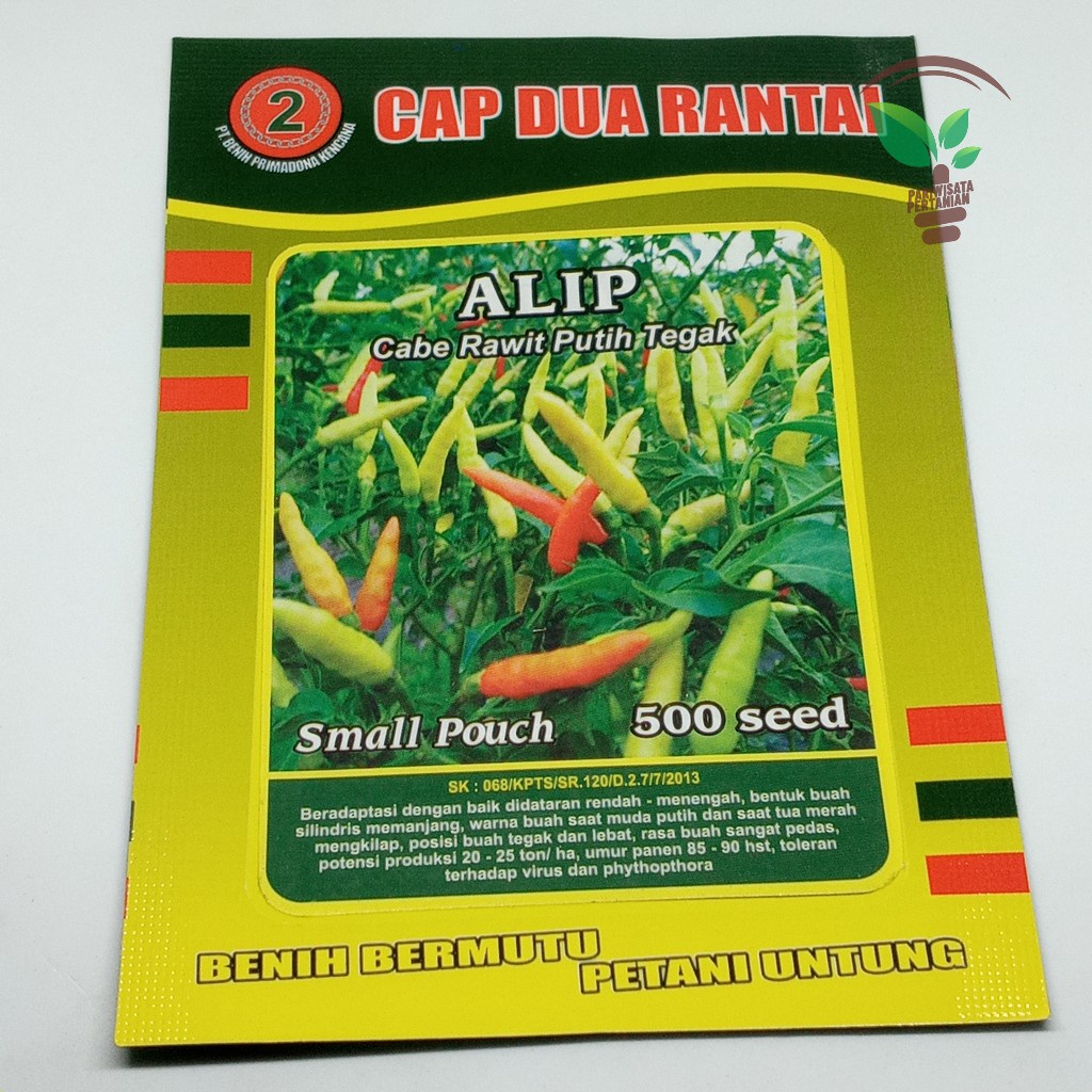 Benih / Bibit Cabe Rawit putih op ALIP small CAP DUA RANTAI