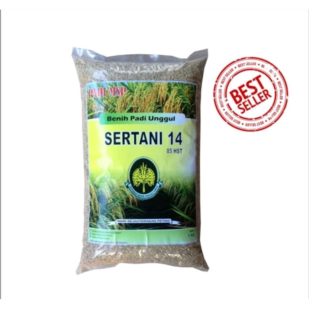 Benih Padi Sertani 14 Best Quality