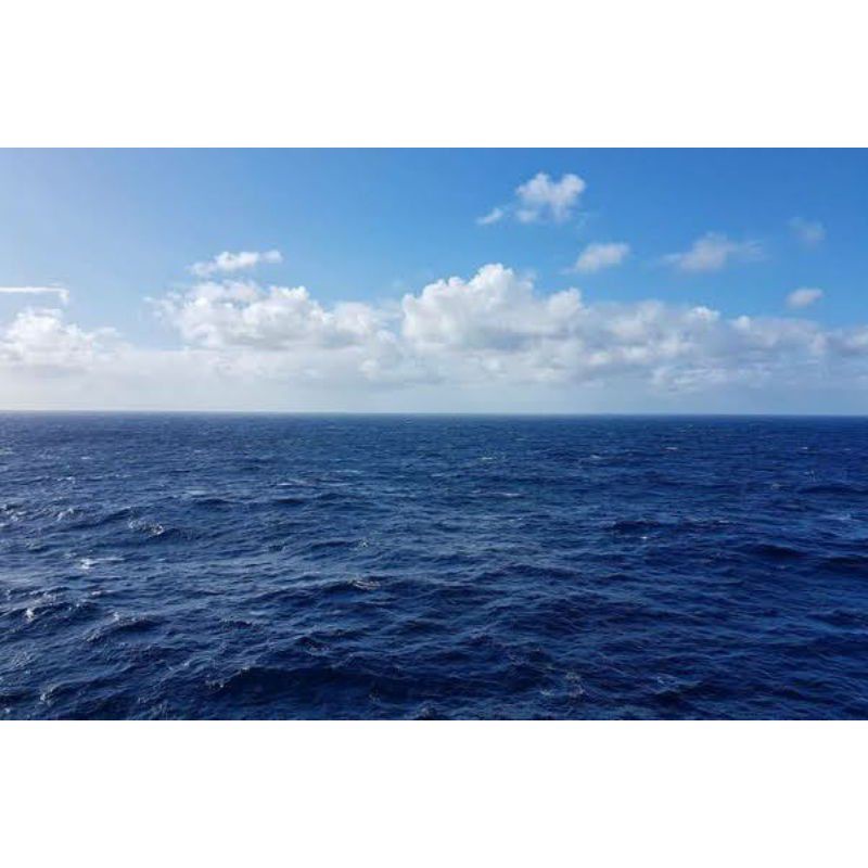 Jual Air Laut Asli 1 Kg Shopee Indonesia