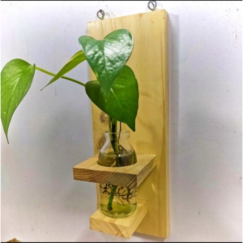 vas bunga kayu dinding/sudah berikut tanaman air /vas buna hiasan dinding