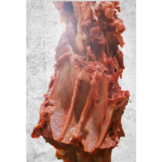 

Rawonan Daging Sapi Lokal Kualitas Super Segar Halal Murah