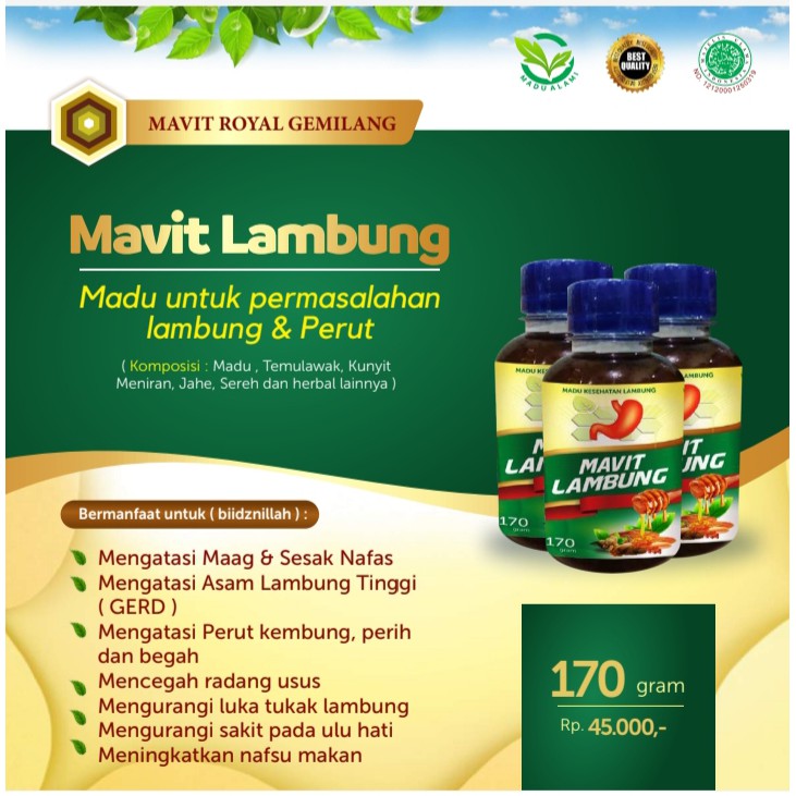 Mavit Madu Herbal Lambung