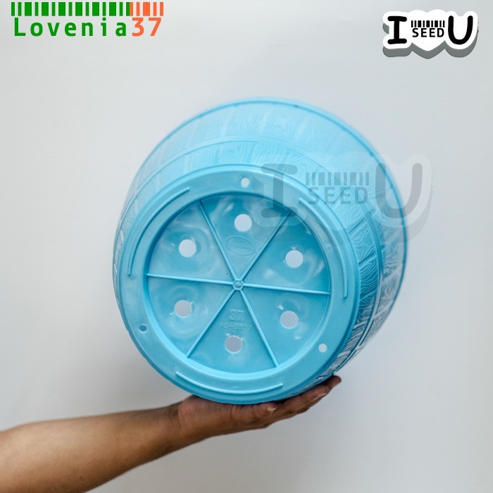 Pot Bunga Warna 30cm Motif Gentong No.37 - Lovenia