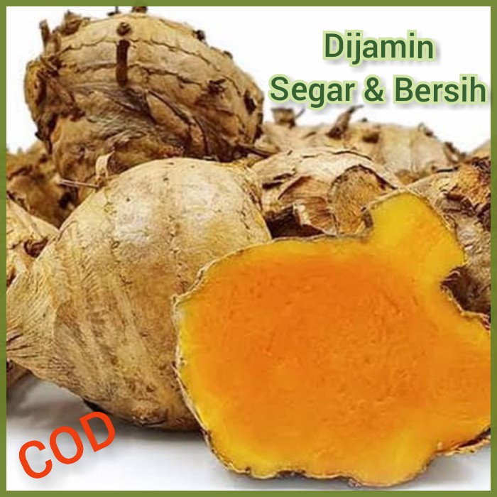 

Temulawak Rempah Bumbu Dapur Masakan Penambah Nafsu Makan Pasar Murah