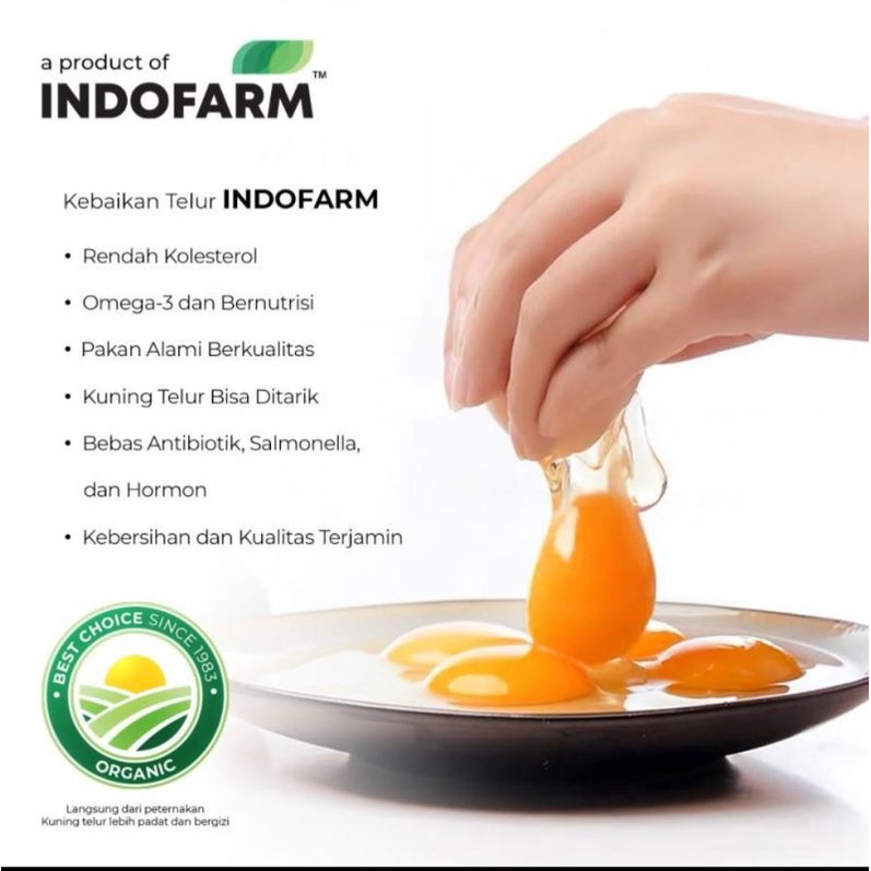 

Telur Ayam Kampung Omega Indofarm 20 pcs Original