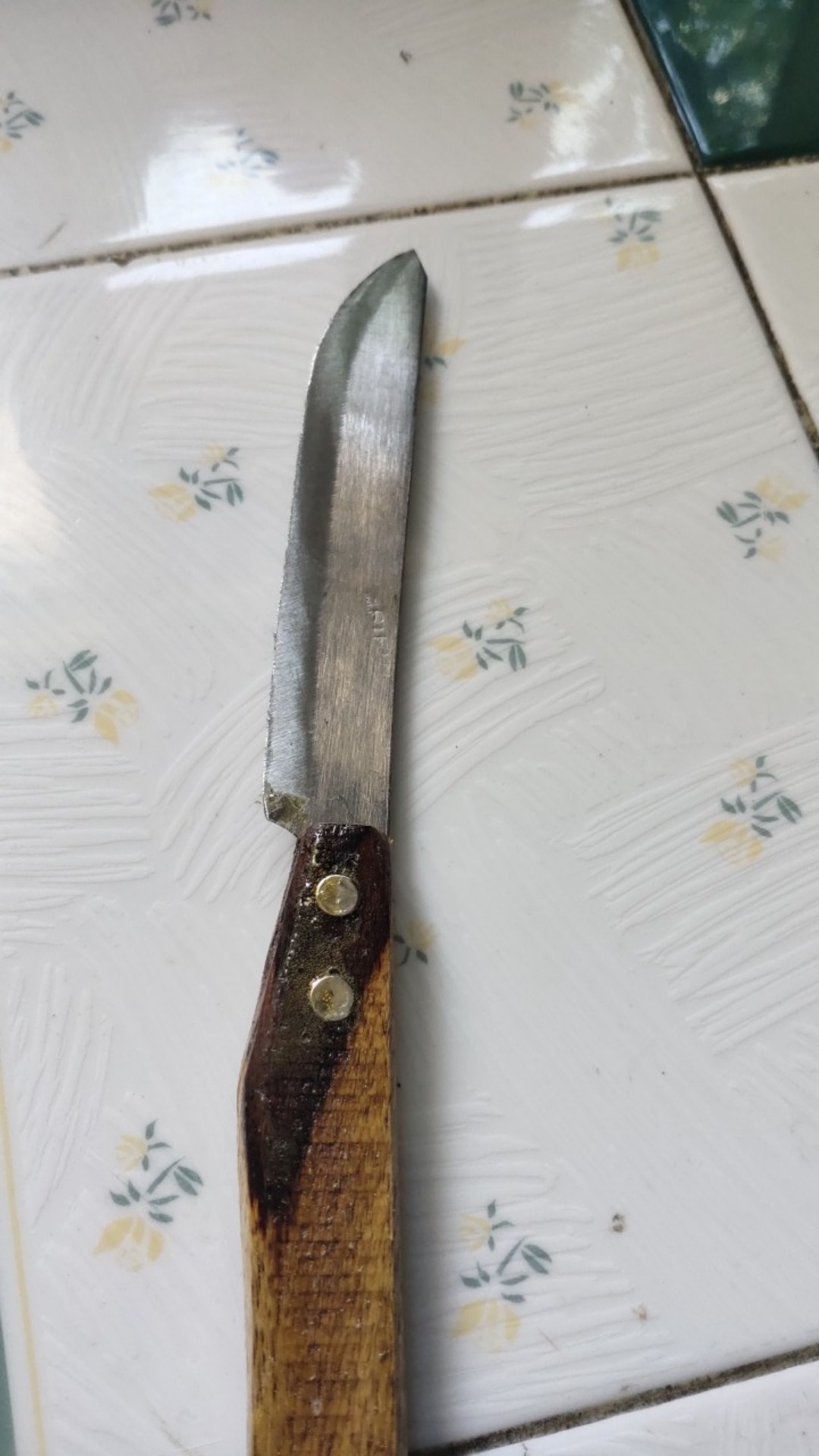 Pisau Dapur Stainless Gagang Kayu