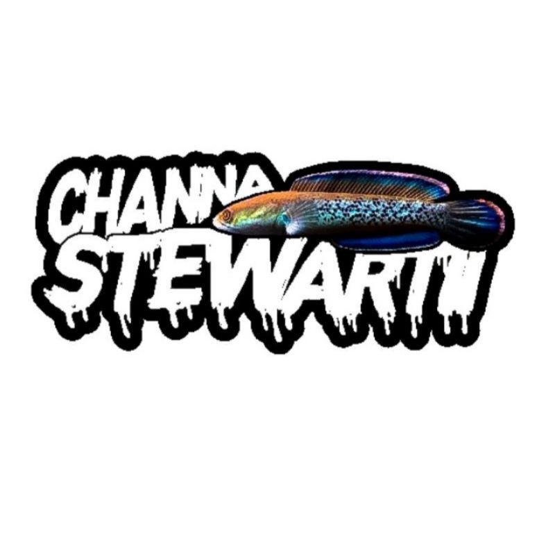 Stiker Channa Stewartii