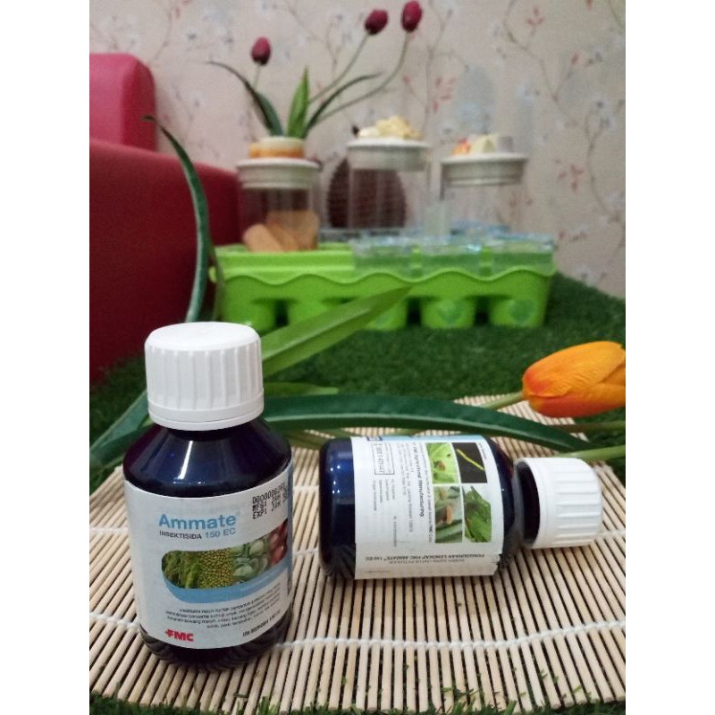 Ammate 150 EC