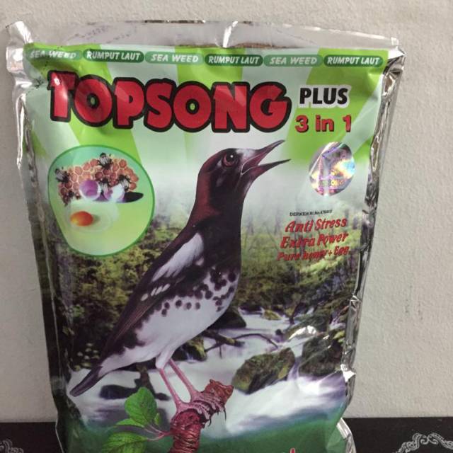 Topsong hijau - topsong rumput laut - voer burung ocehan