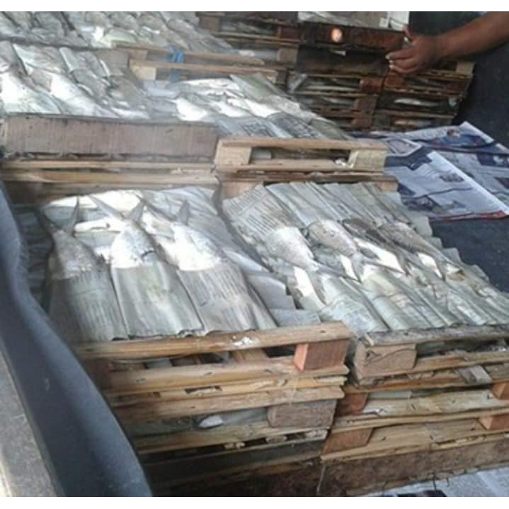 

Jual Ikan Bandeng Presto Asap Bijian Pasar Sayur Bandungan Semarang