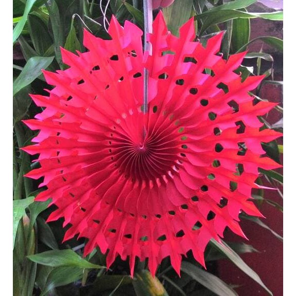 

Paper Fan Polos Kombinasi ukuran 8 inch