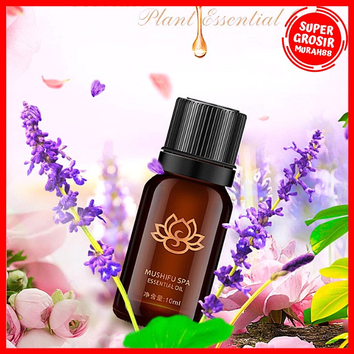 Oil Essensial SPA Pure Essential Fragrance Oils Aromatherapy Diffusers 10ml