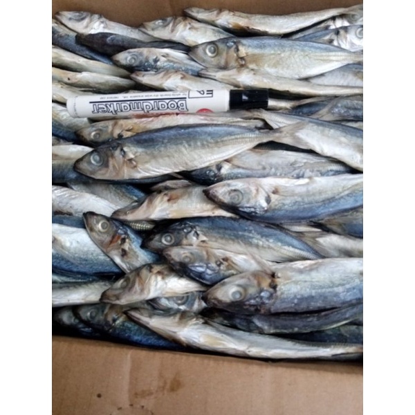 

ikan asin