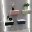 Toilet Paper Tissue Holder Tempat Tissue Kamar Mandi