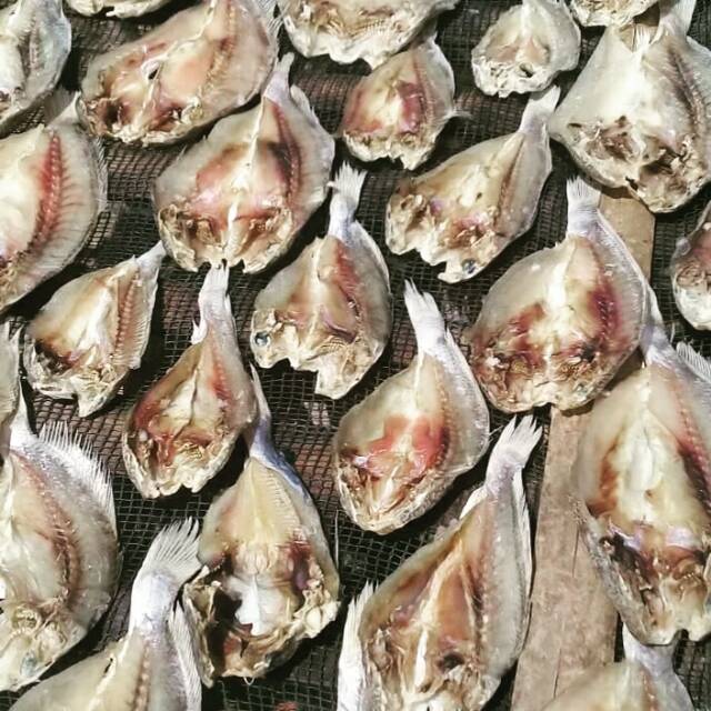 

Ikan asin kepala batu