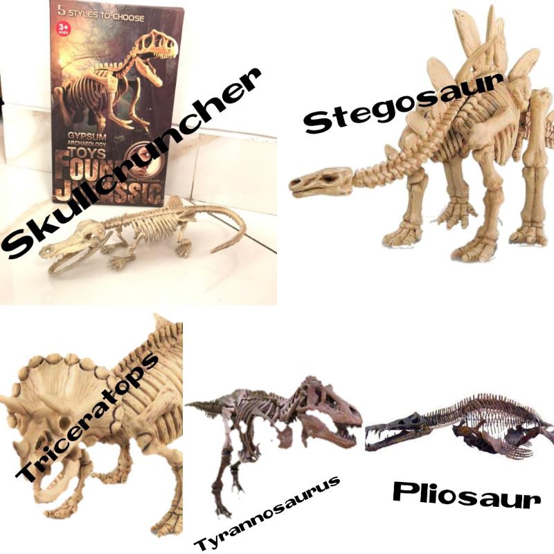 Mainan endukasi anak fosil dinosaur /gypsum archaelogy toys/fosil