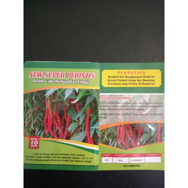 benih cabe keriting New super perintis