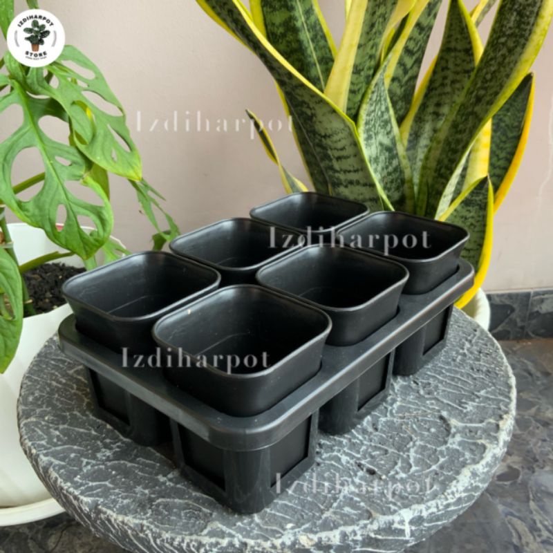 1 set Tray + POT BUNGA NKT KOTAK 7 CM HITAM | tray semai bibit