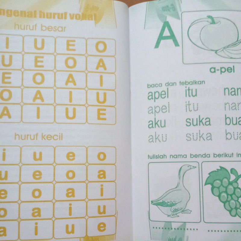 Buku Paud Cepat Pintar Membaca Dan Menulis