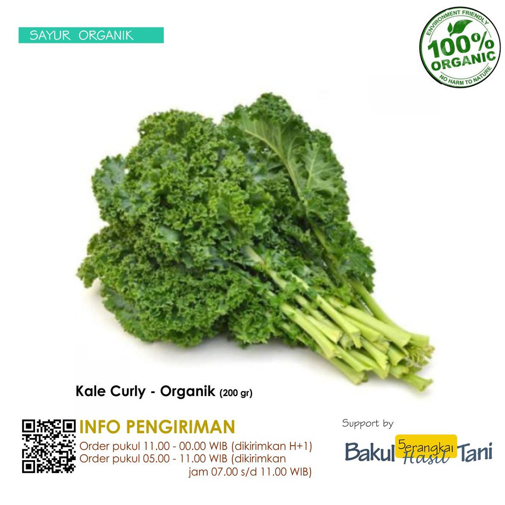 

Kale Curly Organik