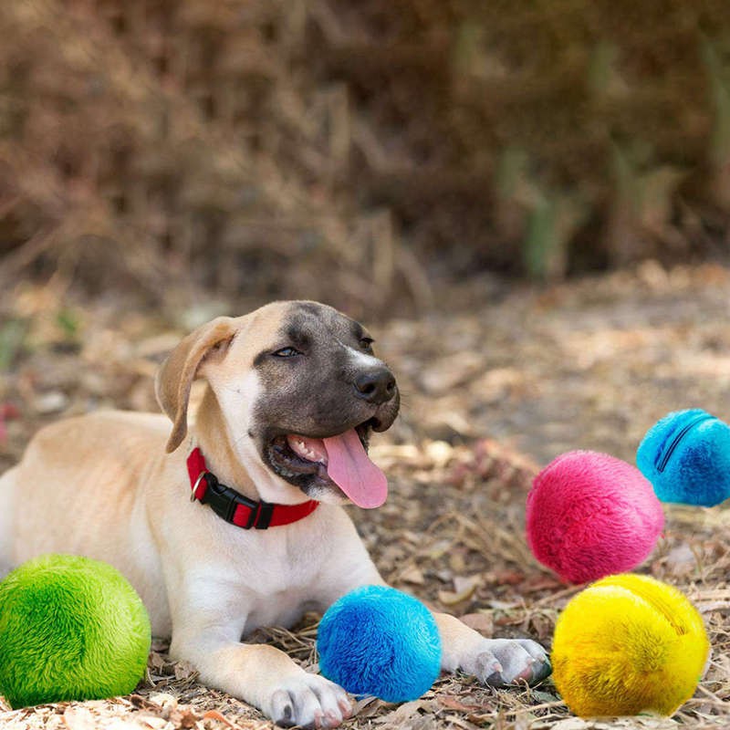 automatic rolling ball dog toy