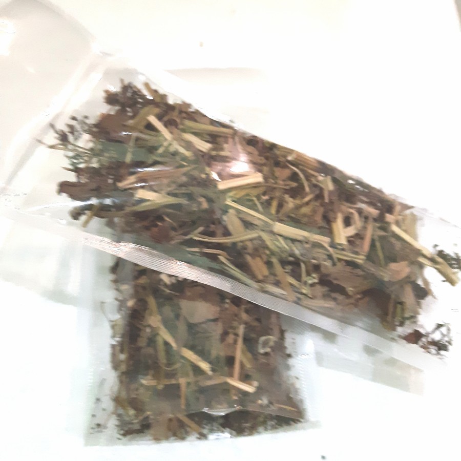 Herbal Daun Ciplukan Kering Akar dan Batang 70 Gram