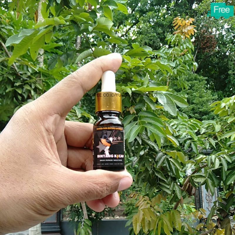 BEST SELLER doping murai batu lomba|vitamin burung murai macet | serak | kurang gacor herbal alami