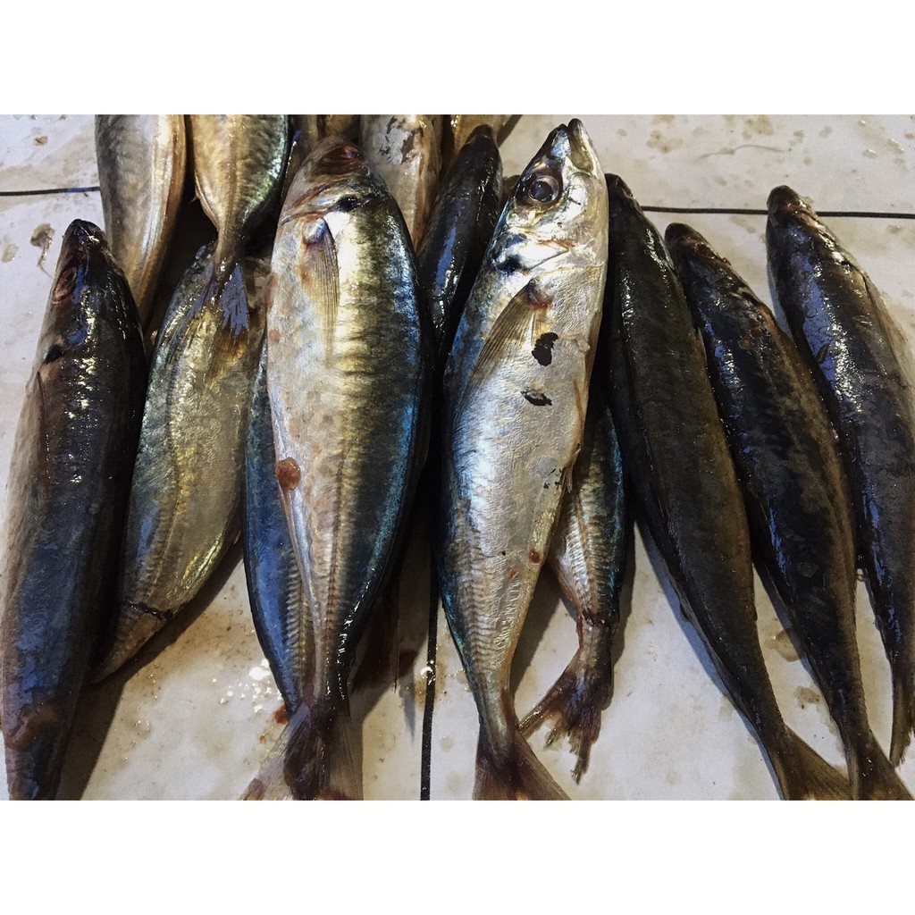 

Ikan Deles 500 Gram