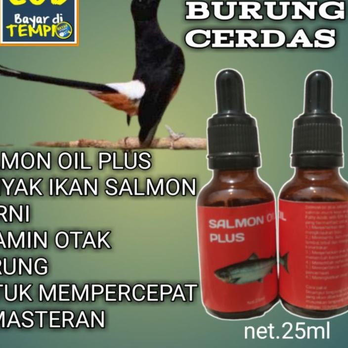 {Original}/[Star]/COD/「Termurah」/【Discount Today】 VITAMIN BURUNG MURAI BATU/VITAMIN OTAK BURUNG/MINY
