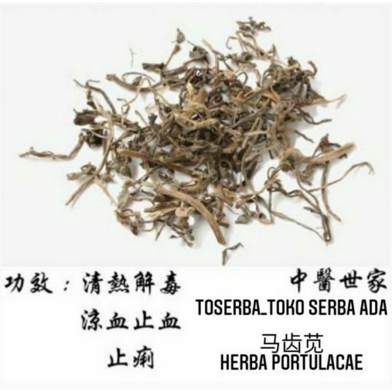

100gr Herbal Ma Chi Xian 马齿苋 Herba Portulacae Krokot Sayur Krokot Pecel Resereyan Alur Premium Grade