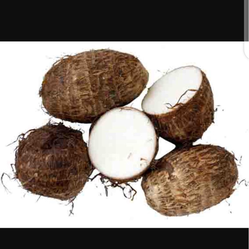 

talas belitung 1kg