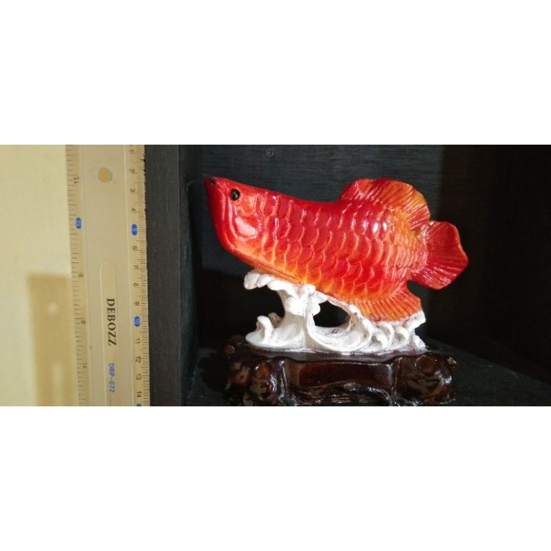 Miniatur ikan Arwana/siluk