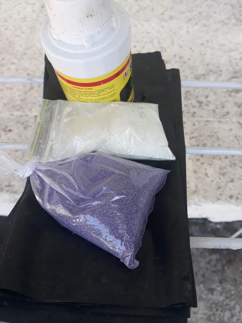 Fungi Sida Antracol Re Packing 20 Gram