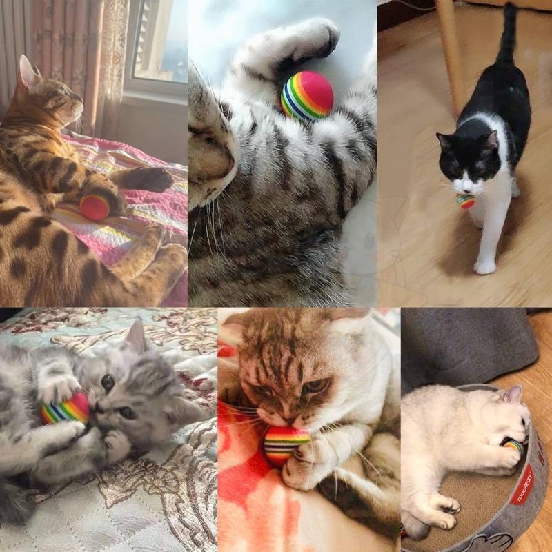 Bola Kucing Pelangi Cat Ball Toys Mainan Kucing Kitten Anak Anjing Lucu Bahan Lembut Aman