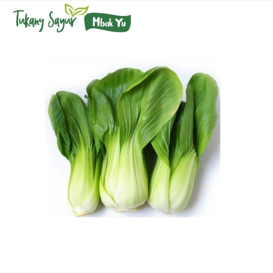 

Pakcoy segar 1kg