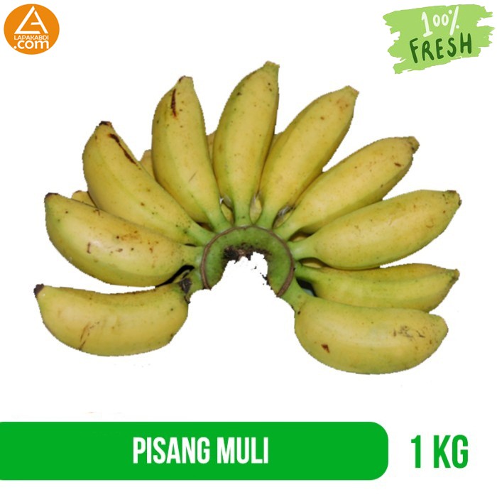 

Pisang Muli 1 Kg Buah Segar Buahan Manis Cuci Mulut Garansi Termurah