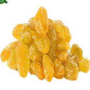 

MCA Kismis Jumbo Anggur Manis Oleh Oleh Haji / Umroh /Kismis Kuning Jumbo Best Quality Eksklusif