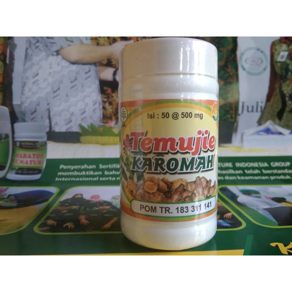 Obat Liver-Hepatitis A-Hepatitis B-Hepatitis C-Gangguan Fungsi Hati-Penyakit Kuning-Sakit Magh