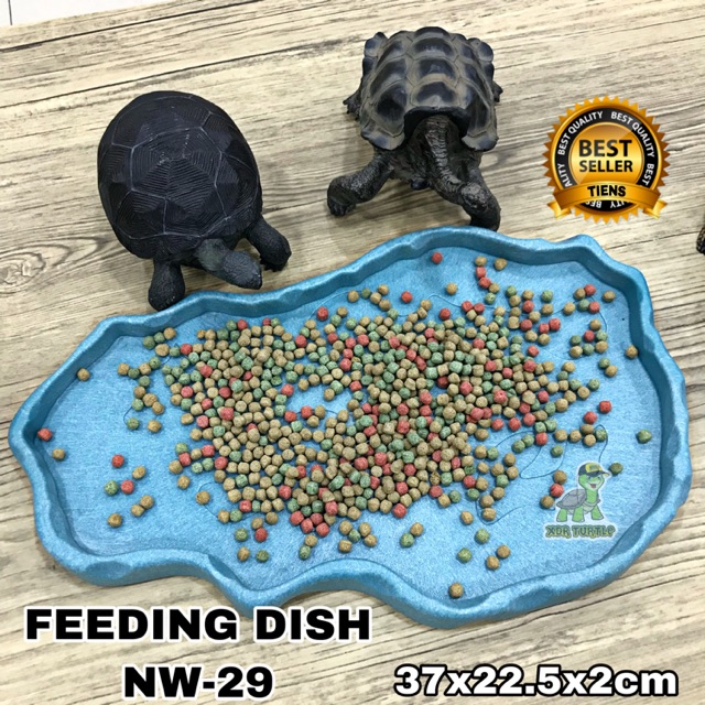 FEEDING DISH NW-29 TEMPAT MAKAN TORTO REPTIL JUMBO SULCATA ALDABRA PIRING MAKAN TORTO RESIN