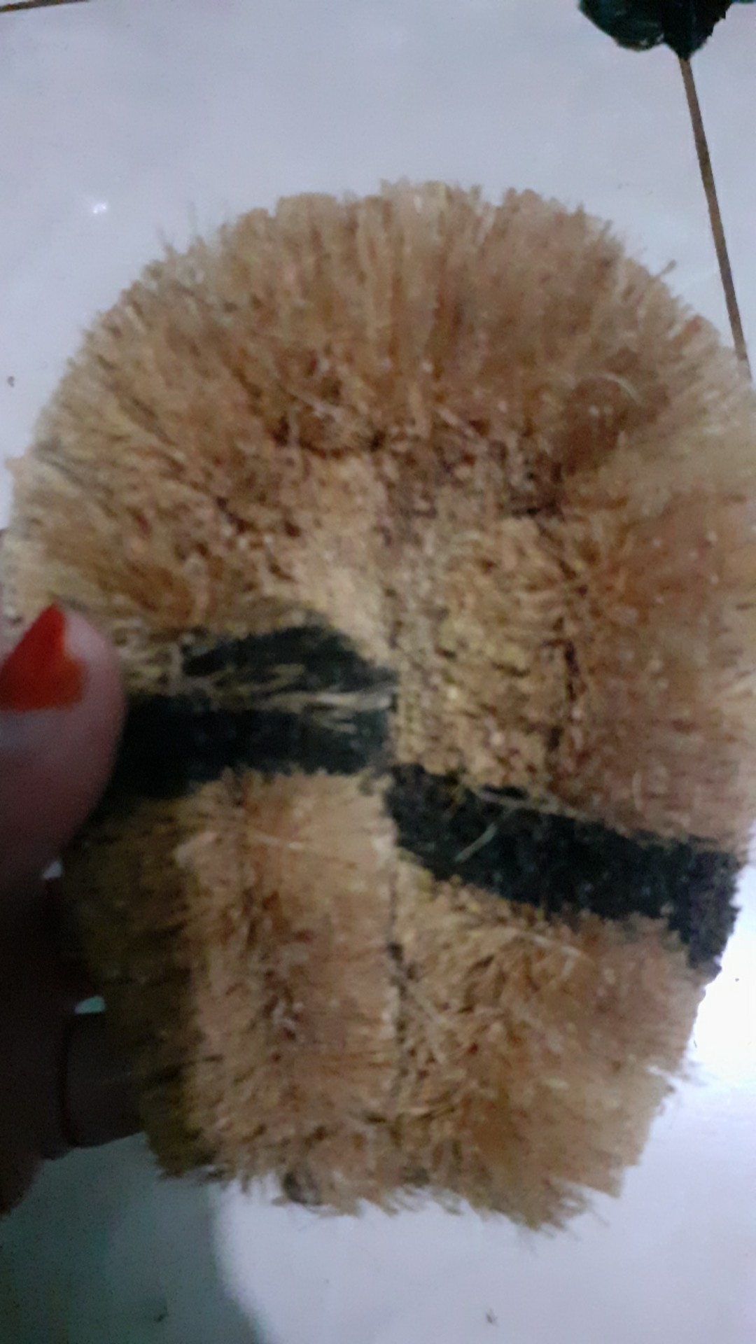 Sikat Sabun Kelapa Konde Cuci Piring Peralatan Masak Dapur Lainnya