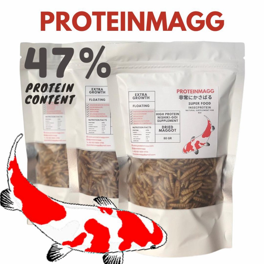 AH PROTEINMAGG FISH Vitamin Ikan Burung Ulat Hongkong Fish Supplement