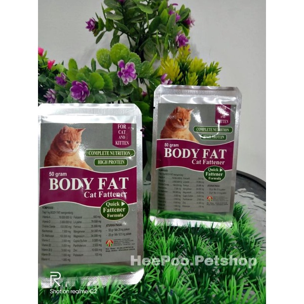 Body fat-penggemuk kucing