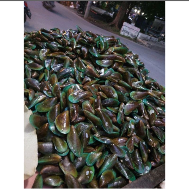 

kerang hijau 1kg