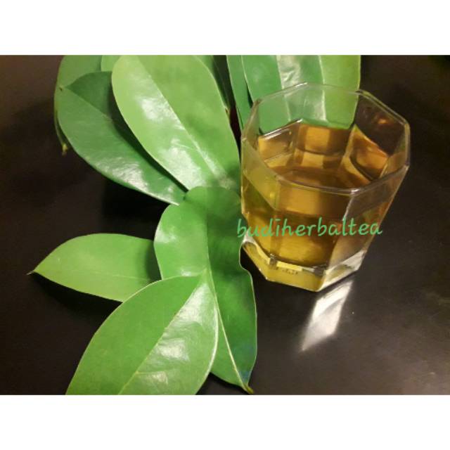 

daun sirsak kering kwalitas grade A - herbal - daun sirsak alami / higienis / obat kanker alami