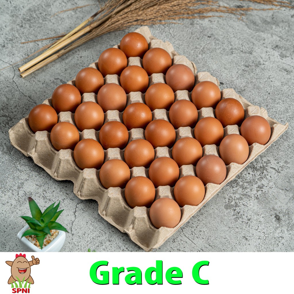 Telur Ayam SPNI Standard (Grade C 30 Butir) Sortiran Mesin