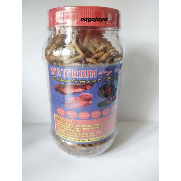 Waterium Maggot ulat kering pakan ikan predator magot premium