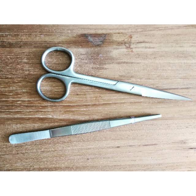 

Gunting scot stainless steel 14 cm alat jahit mata