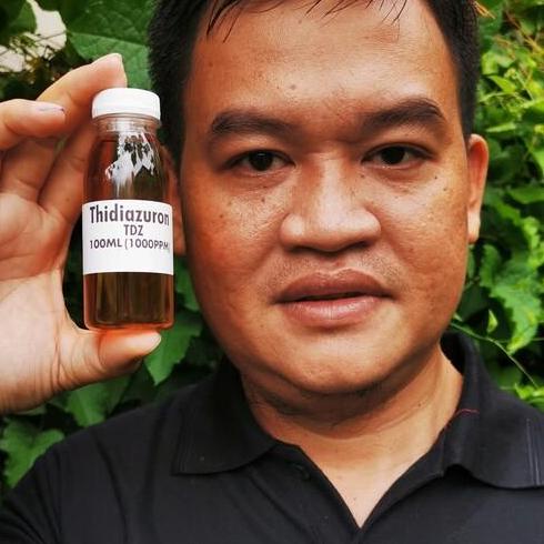 ☈ Hormon Tanaman Tidiazuron Thidiazuron TDZ 100ml Kalus Dan Pembelahan Sel ◙