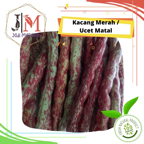 

[JM SoFresh] - Kacang Merah / Ucet Matal